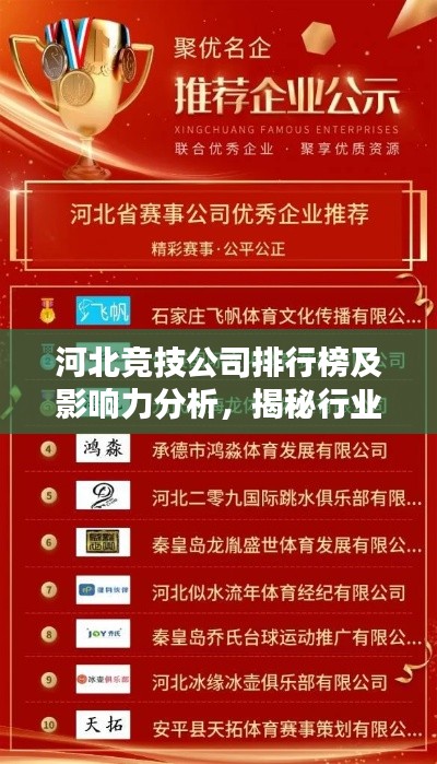 河北竞技公司排行榜及影响力分析，揭秘行业巨头及其影响力