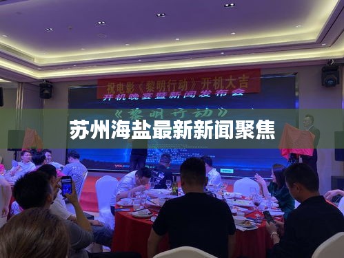 苏州海盐最新新闻聚焦
