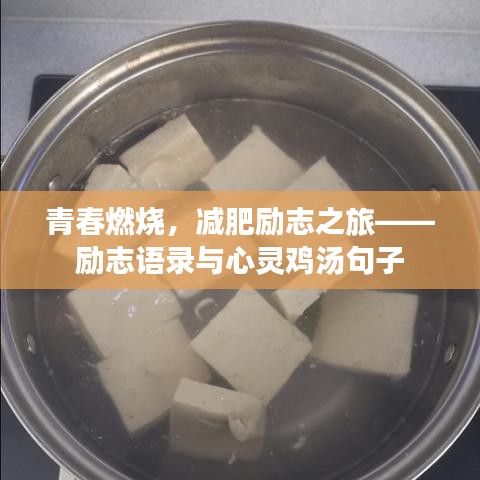 青春燃烧，减肥励志之旅——励志语录与心灵鸡汤句子