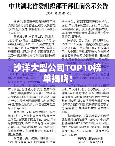 沙洋大型公司TOP10榜单揭晓！