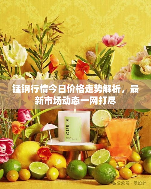 锰钢行情今日价格走势解析，最新市场动态一网打尽