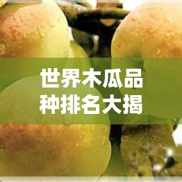 世界木瓜品种排名大揭秘，哪些木瓜品种最受欢迎？