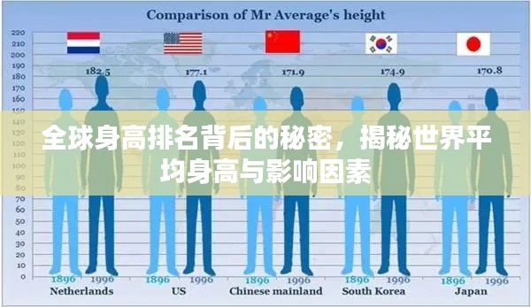 全球身高排名背后的秘密，揭秘世界平均身高与影响因素
