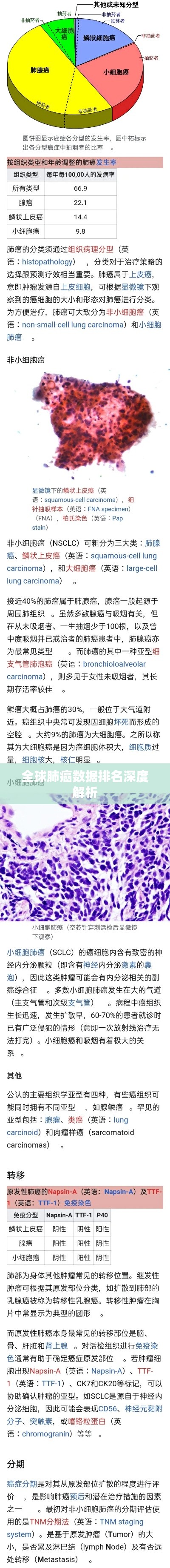 全球肺癌数据排名深度解析