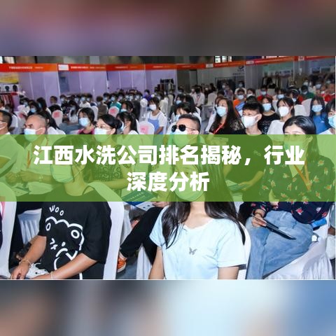 江西水洗公司排名揭秘，行业深度分析