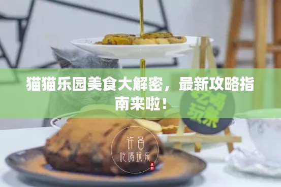 猫猫乐园美食大解密，最新攻略指南来啦！