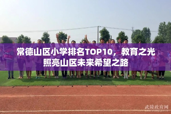常德山区小学排名TOP10，教育之光照亮山区未来希望之路