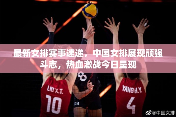 最新女排赛事速递，中国女排展现顽强斗志，热血激战今日呈现