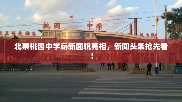 北票桃园中学崭新面貌亮相，新闻头条抢先看！