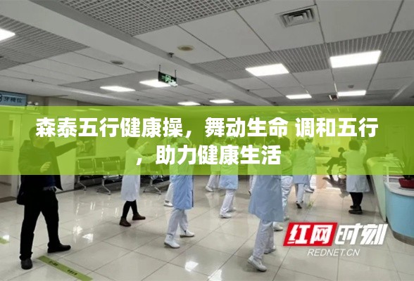 森泰五行健康操，舞动生命 调和五行，助力健康生活