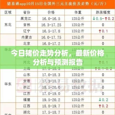 今日猪价走势分析，最新价格分析与预测报告