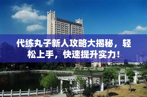 代练丸子新人攻略大揭秘，轻松上手，快速提升实力！