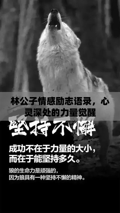 林公子情感励志语录，心灵深处的力量觉醒