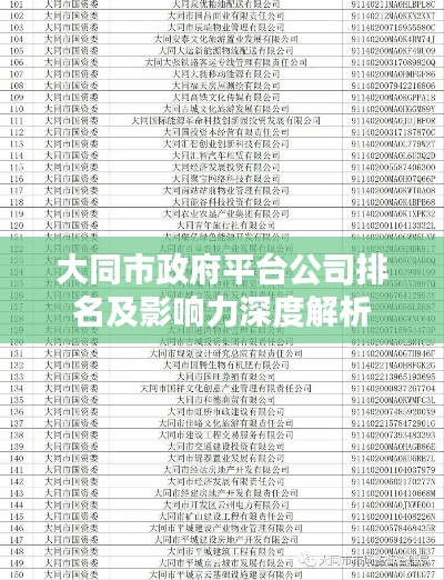 大同市政府平台公司排名及影响力深度解析