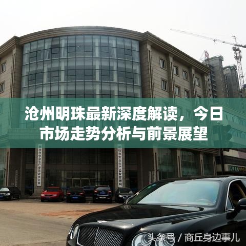 沧州明珠最新深度解读，今日市场走势分析与前景展望