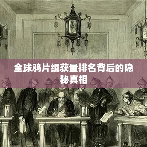 全球鸦片缉获量排名背后的隐秘真相