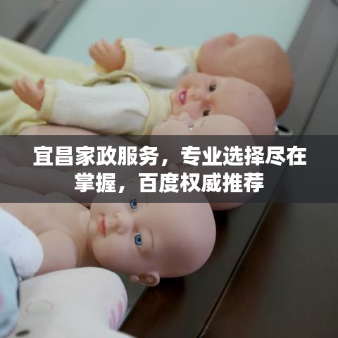 宜昌家政服务，专业选择尽在掌握，百度权威推荐