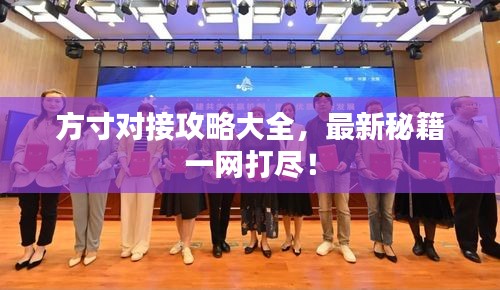 方寸对接攻略大全，最新秘籍一网打尽！