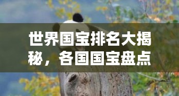 世界国宝排名大揭秘，各国国宝盘点与排名