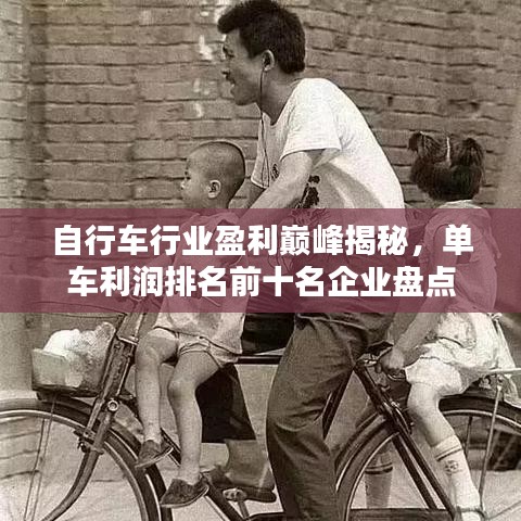 自行车行业盈利巅峰揭秘，单车利润排名前十名企业盘点