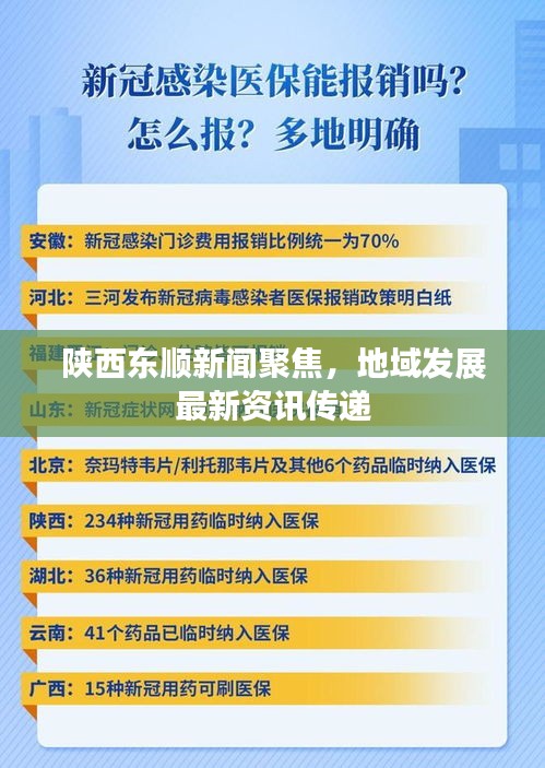 陕西东顺新闻聚焦，地域发展最新资讯传递