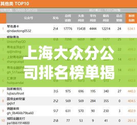上海大众分公司排名榜单揭晓，热门企业榜单一网打尽！