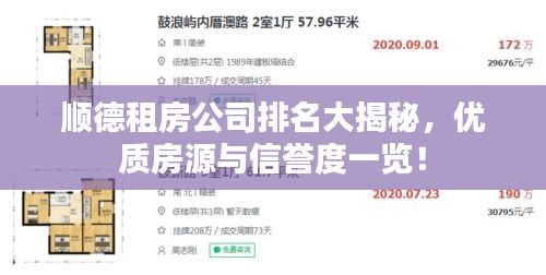 顺德租房公司排名大揭秘，优质房源与信誉度一览！