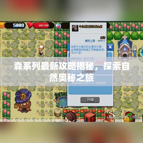 森系列最新攻略揭秘，探索自然奥秘之旅