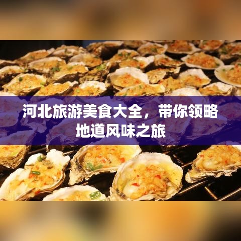 河北旅游美食大全，带你领略地道风味之旅