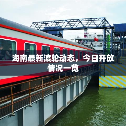 海南最新渡轮动态，今日开放情况一览