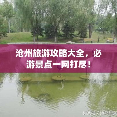 沧州旅游攻略大全，必游景点一网打尽！