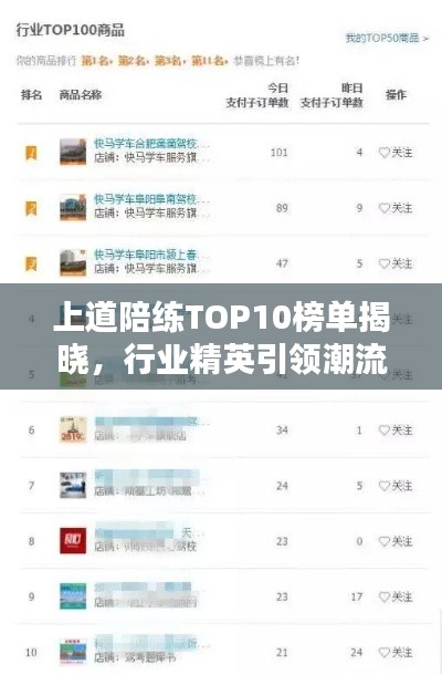 上道陪练TOP10榜单揭晓，行业精英引领潮流，谁技高一筹？
