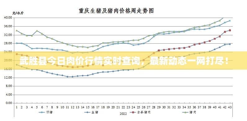 武胜县今日肉价行情实时查询，最新动态一网打尽！