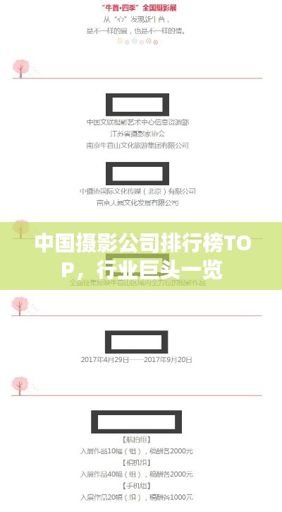 中国摄影公司排行榜TOP，行业巨头一览