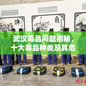 武汉毒品问题揭秘，十大毒品种类及其危害严重警告