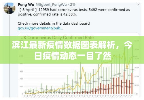 滨江最新疫情数据图表解析，今日疫情动态一目了然