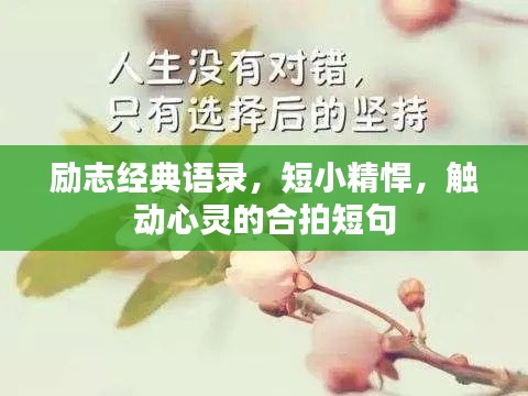 励志经典语录，短小精悍，触动心灵的合拍短句